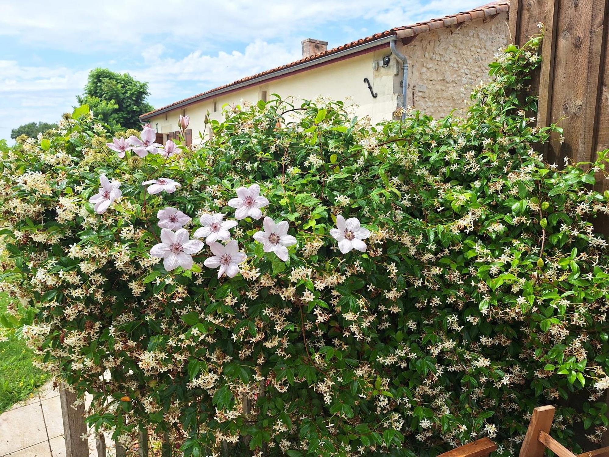 Gite Cosy Grand Confort Dans Un Ecrin De Verdure Agudelle Bagian luar foto