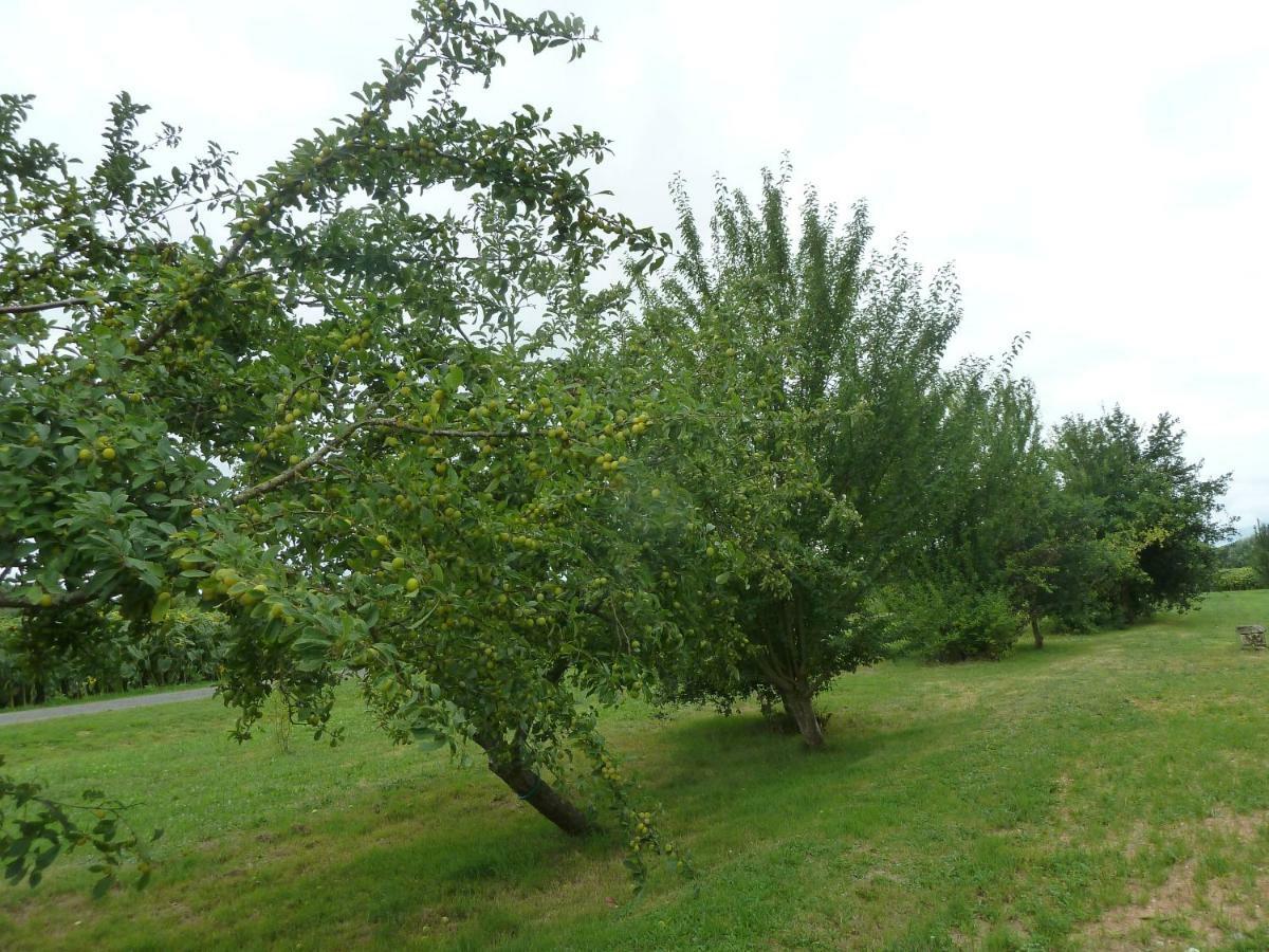 Gite Cosy Grand Confort Dans Un Ecrin De Verdure Agudelle Bagian luar foto