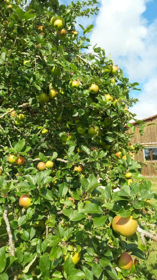 Gite Cosy Grand Confort Dans Un Ecrin De Verdure Agudelle Bagian luar foto